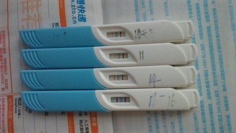 journal_insert_pic_459042473