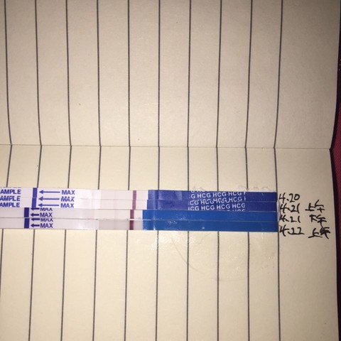 journal_insert_pic_458861490