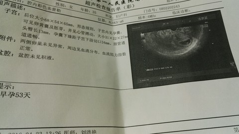 journal_insert_pic_459982582