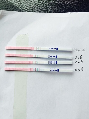journal_insert_pic_459819136