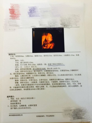 journal_insert_pic_459932906
