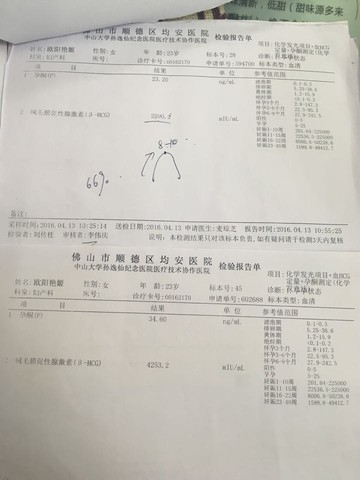 journal_insert_pic_460115069