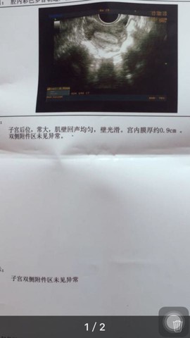 journal_insert_pic_460872403