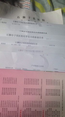 journal_insert_pic_462515850