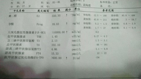 journal_insert_pic_462620971