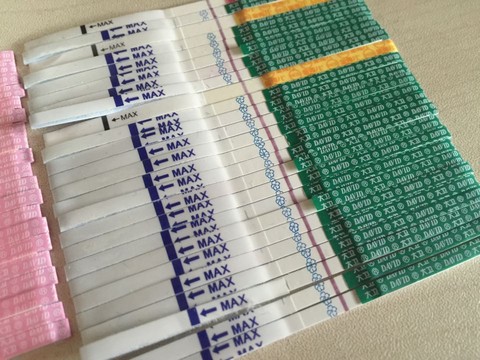 journal_insert_pic_462236809