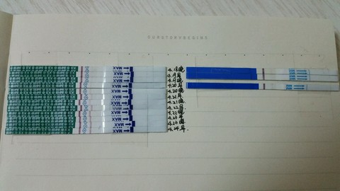 journal_insert_pic_462806302
