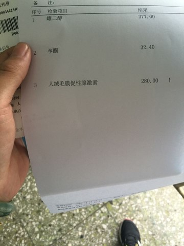 journal_insert_pic_463335057
