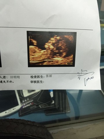 journal_insert_pic_463576088