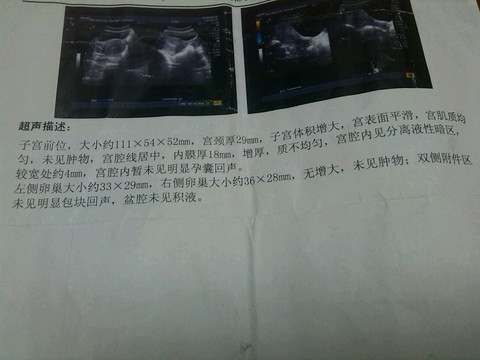 journal_insert_pic_465290038