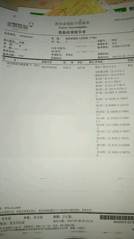 journal_insert_pic_465171385