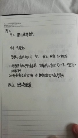 journal_insert_pic_466707649