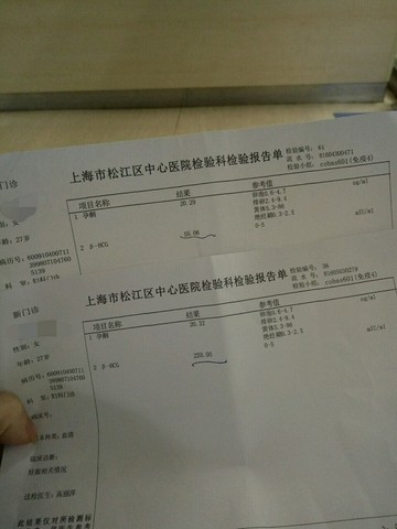 journal_insert_pic_468665809