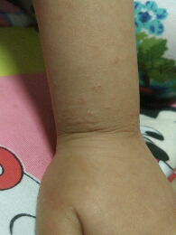 journal_insert_pic_469531241