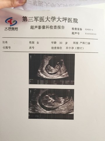 journal_insert_pic_468962952