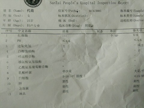 journal_insert_pic_469810797