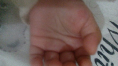 journal_insert_pic_471373176
