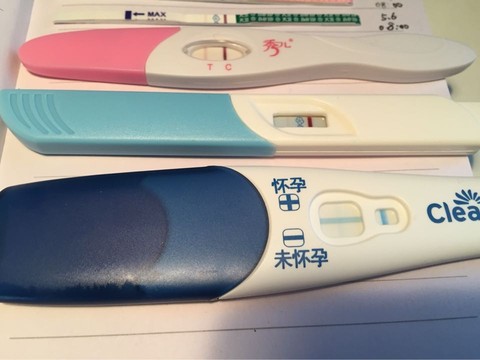 journal_insert_pic_472334170