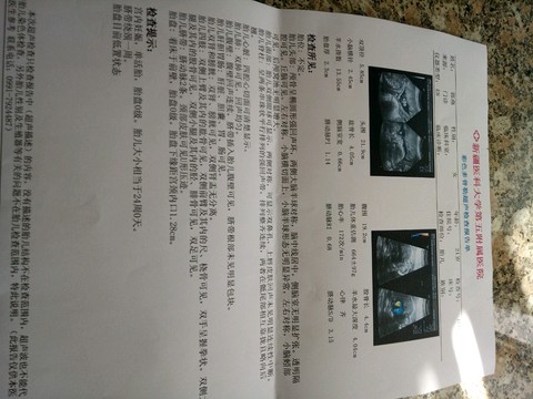 journal_insert_pic_472804634