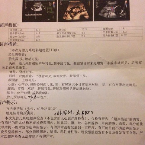 journal_insert_pic_475806748
