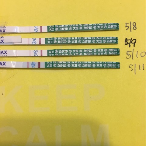 journal_insert_pic_475261112