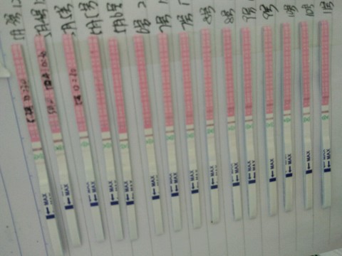 journal_insert_pic_475475172