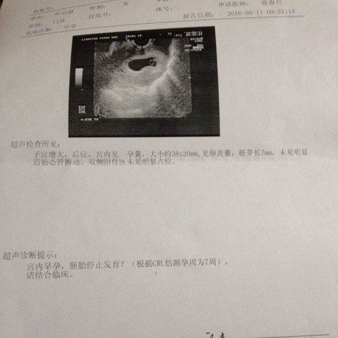 journal_insert_pic_475709291