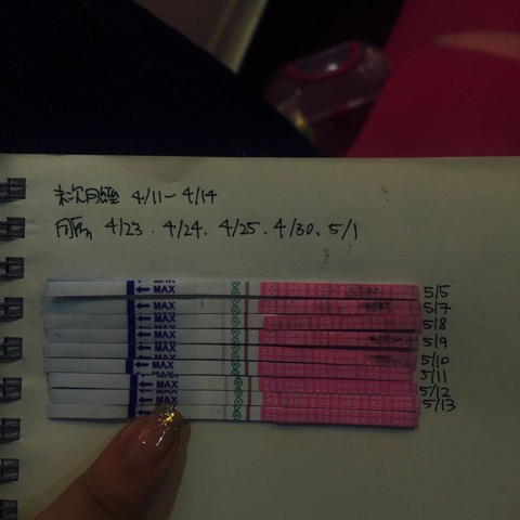 journal_insert_pic_477705328