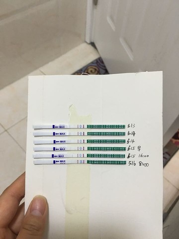 journal_insert_pic_479847172