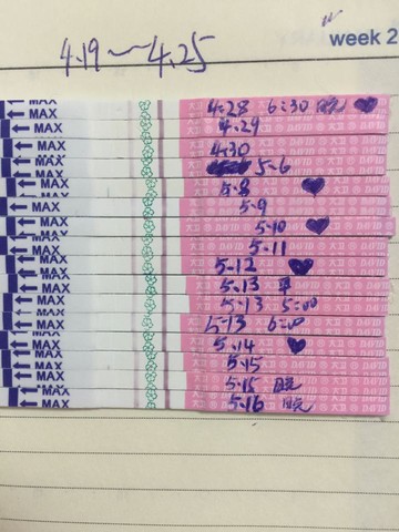 journal_insert_pic_480556595