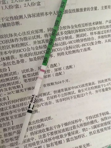 journal_insert_pic_479965793