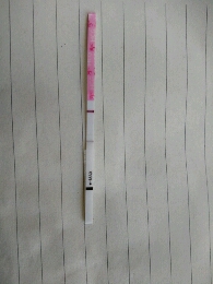 journal_insert_pic_479767146