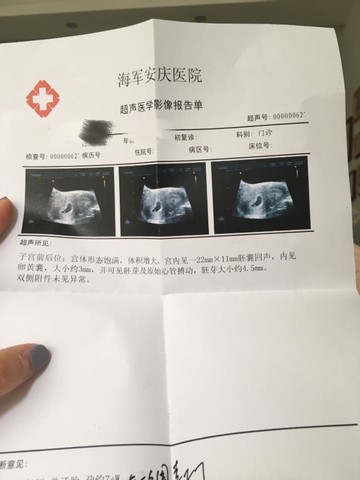 journal_insert_pic_480968450