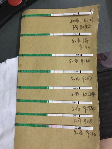 journal_insert_pic_482201796
