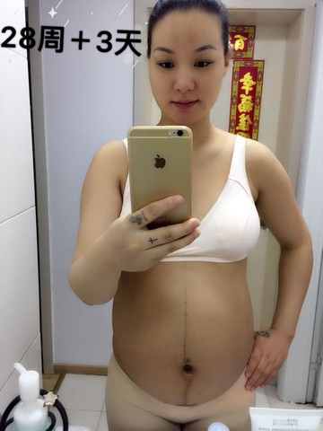 journal_insert_pic_481886894
