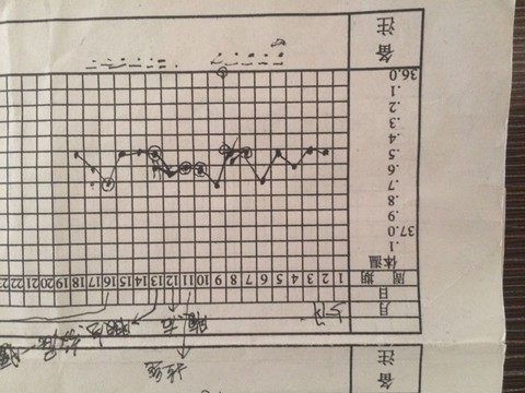 journal_insert_pic_481670229