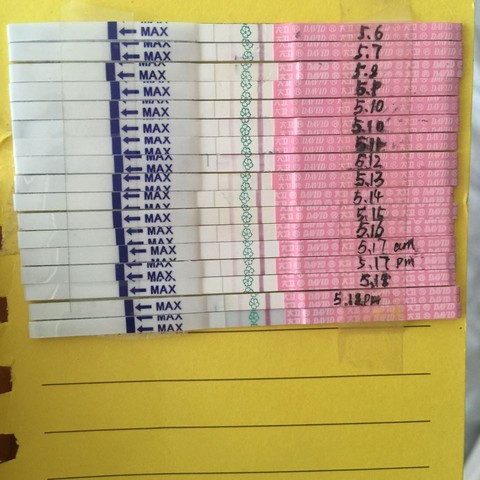 journal_insert_pic_482517066