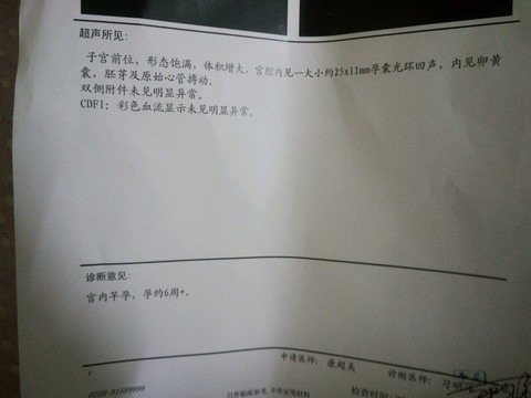 journal_insert_pic_483932465