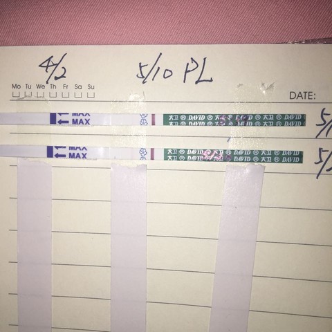 journal_insert_pic_483472745