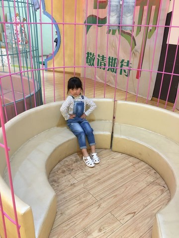 journal_insert_pic_484910162