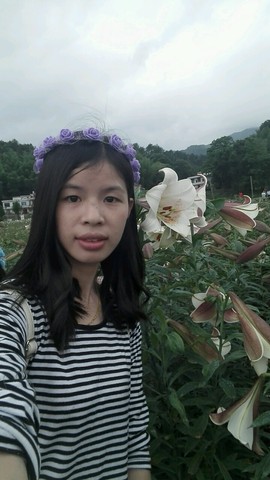 journal_insert_pic_484932414