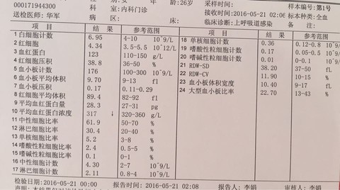 journal_insert_pic_484840133