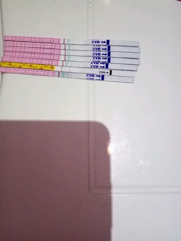 journal_insert_pic_484370183