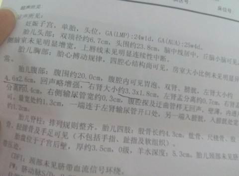 journal_insert_pic_485822188