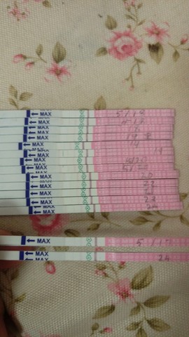 journal_insert_pic_487797026