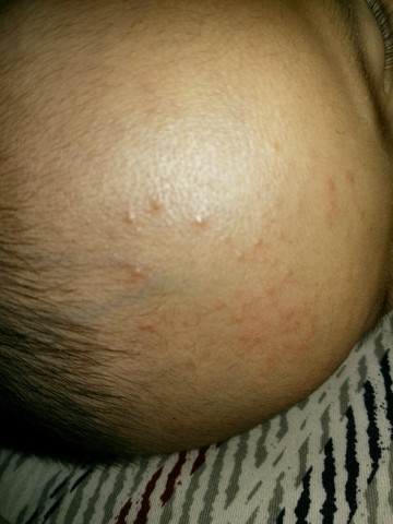 journal_insert_pic_488147700