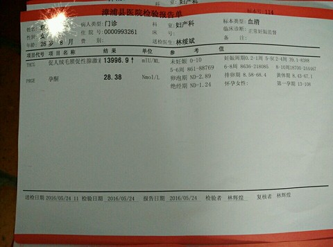 journal_insert_pic_488270810