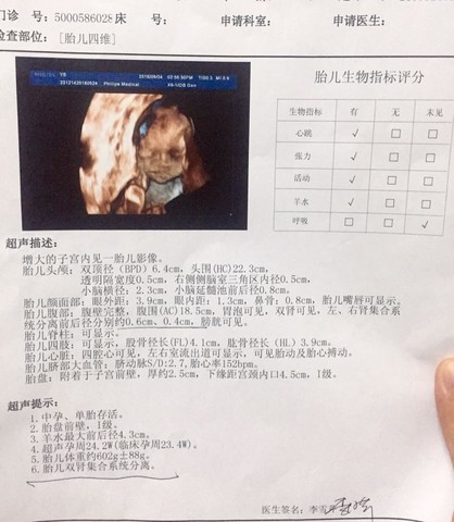 journal_insert_pic_488575332