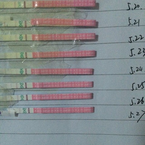 journal_insert_pic_489892067