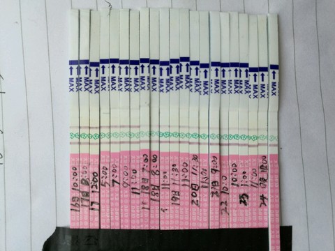 journal_insert_pic_489255444